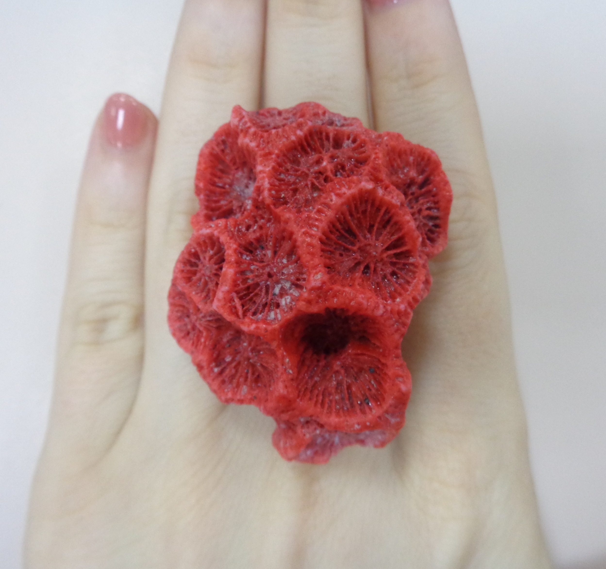 10322-004817 Кольцо (Ag 925)